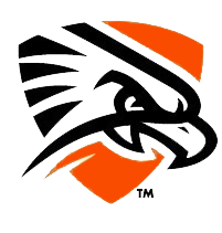 UTPB Falcons 2016-Pres Secondary Logo v2 diy DTF decal sticker